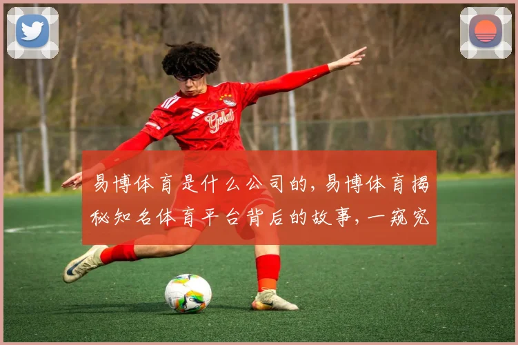 易博体育是什么公司的,易博体育揭秘知名体育平台背后的故事,一窥究竟