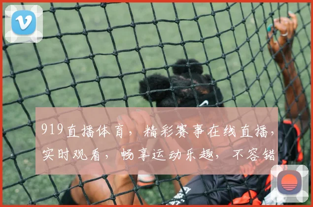 919直播体育，精彩赛事在线直播，实时观看，畅享运动乐趣，不容错过