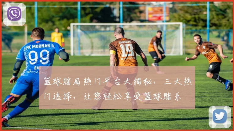 篮球赌局热门平台大揭秘，三大热门选择，让您轻松享受篮球赌乐