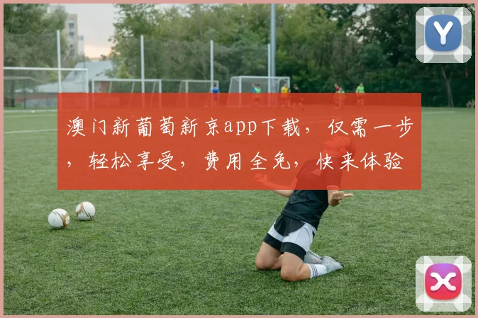 澳门新葡萄新京app下载，仅需一步，轻松享受，费用全免，快来体验