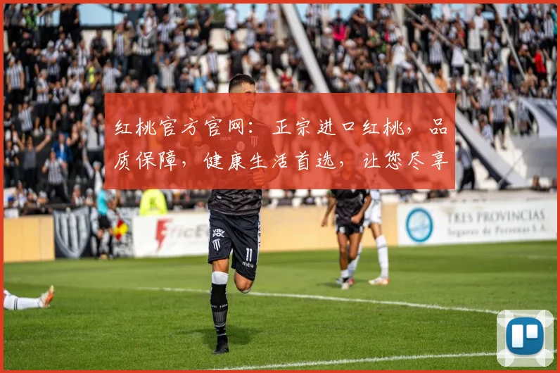 红桃官方官网：正宗进口红桃，品质保障，健康生活首选，让您尽享美味滋味